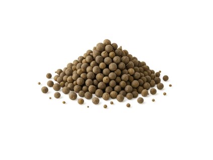 ChatGPT Image 3. 8. 2025 10 46 20