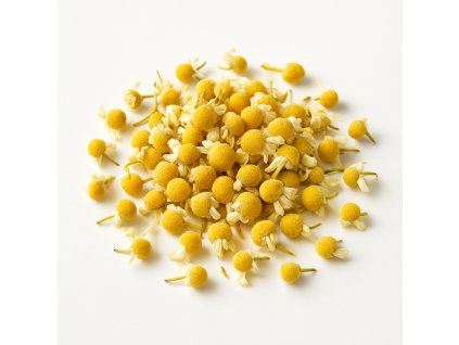 ChatGPT Image 6. 8. 2025 13 01 46