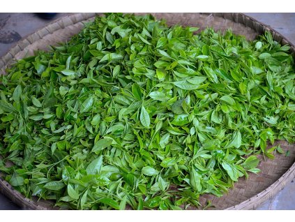 tea leaves 4835237 1280