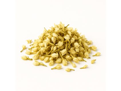 ChatGPT Image 9. 8. 2025 11 31 00