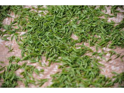 tea garden 1557697 1280