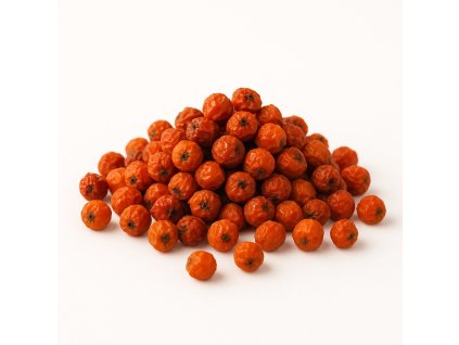 ChatGPT Image 9. 8. 2025 12 14 56