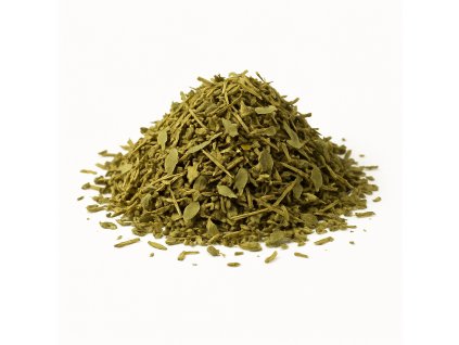 ChatGPT Image 20. 8. 2025 10 33 48