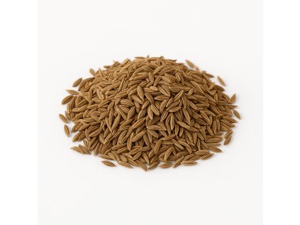 ChatGPT Image 20. 8. 2025 11 43 35