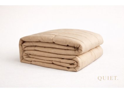 2E11C6C8 C71E 47D3 A39F 8B91A9578739