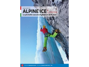 Versante Sud AlpineIce1