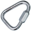 Camp Delta Quick Link Stainless - mailona