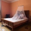 5006 micronet double mosquito net 3