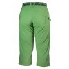 4226 Flex 34 pants grass back