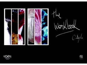 20991 Cover Ayala The Workbook(1)