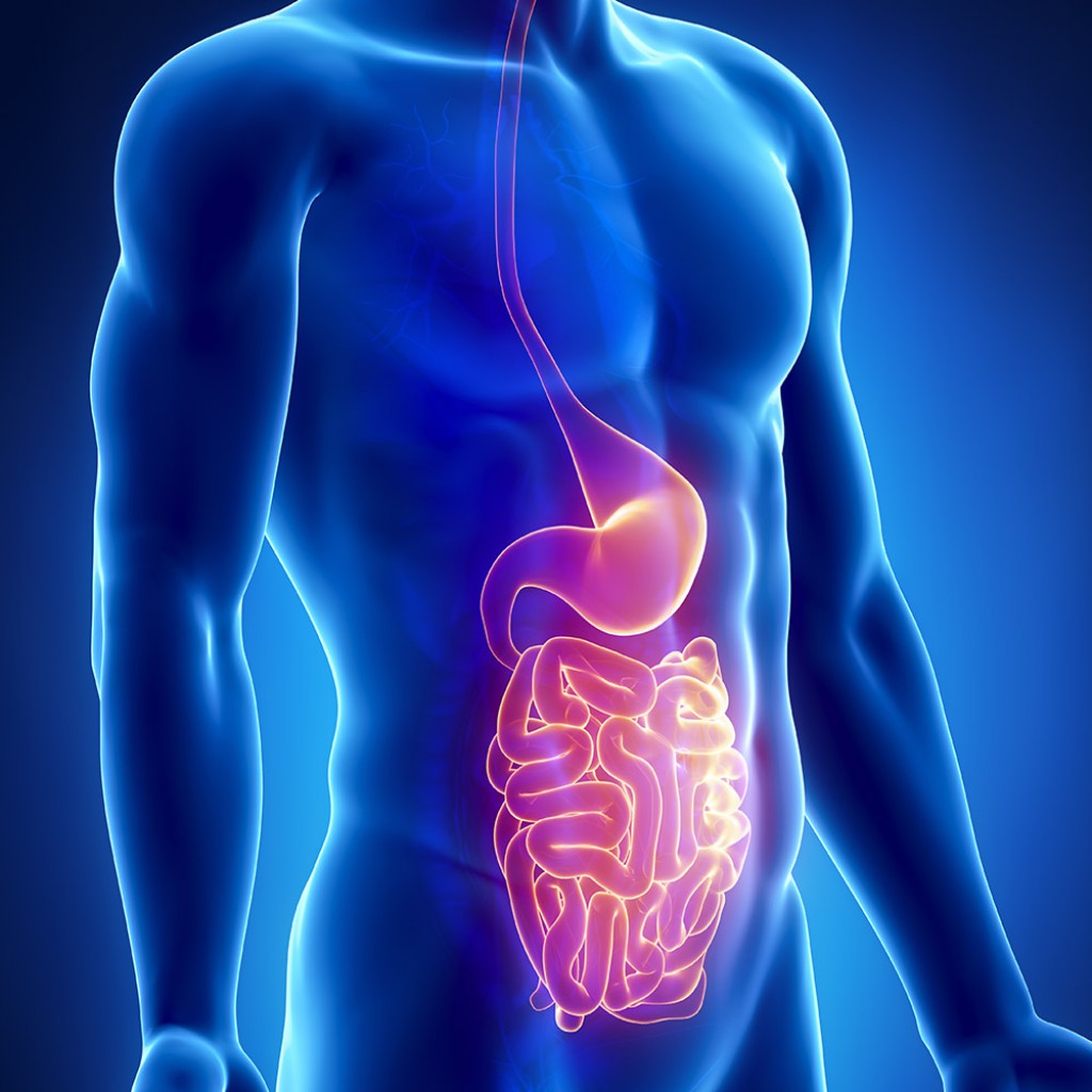 Mořská plazma pomáhá přirozeně bojovat s gastroenteritidou