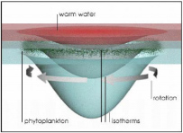 plankton-obr