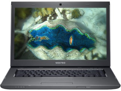 DELL Vostro 3560 ...1
