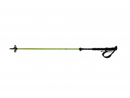 hůlky BLIZZARD Tour telescopic ski poles, black/green