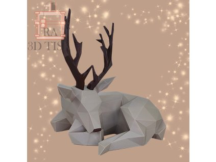 WhatsApp Image 2025 12 17 at 16.13.25