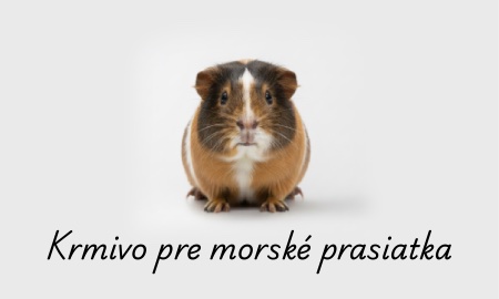 Morčatá