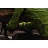 bunda FORCE WINDPRO neprofuk, fluo (velikost 3XL)