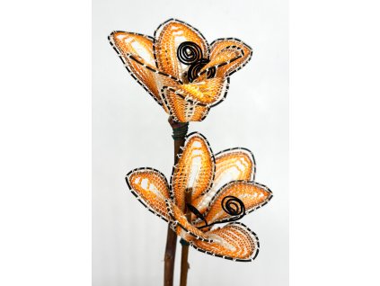 Paličkovaný květ šestilístkový