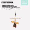 Scalp Advanced Anti-Oiliness šampon