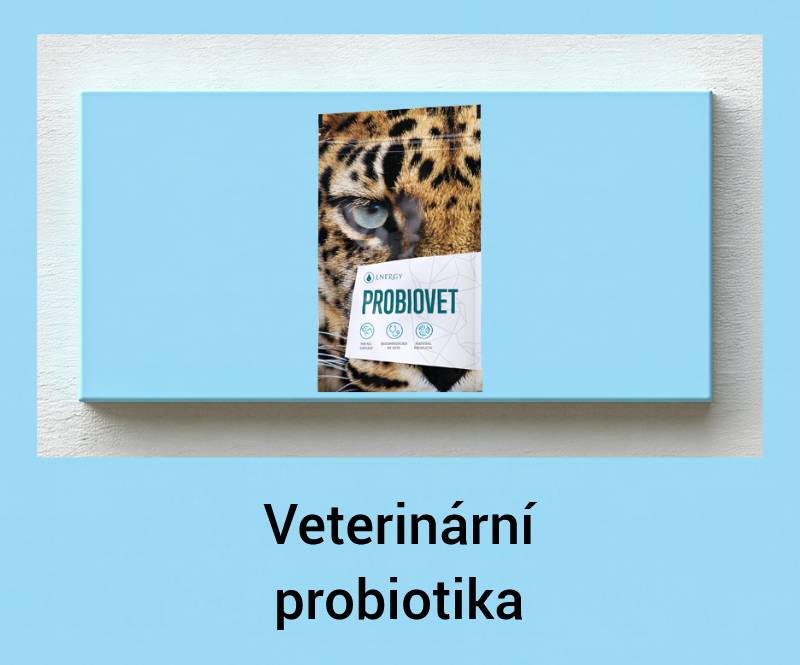 Probiovet