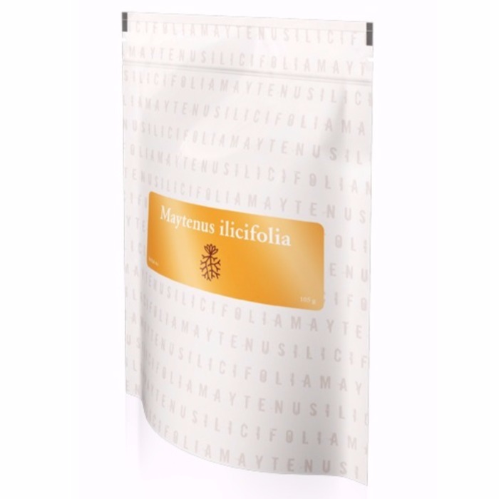 Energy Maytenus Ilicifolia 105 g