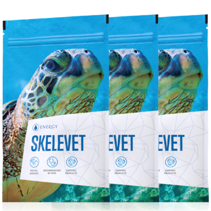 Energy Skelevet 3set 405 kapslí