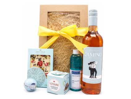 Návrh bez názvu 13