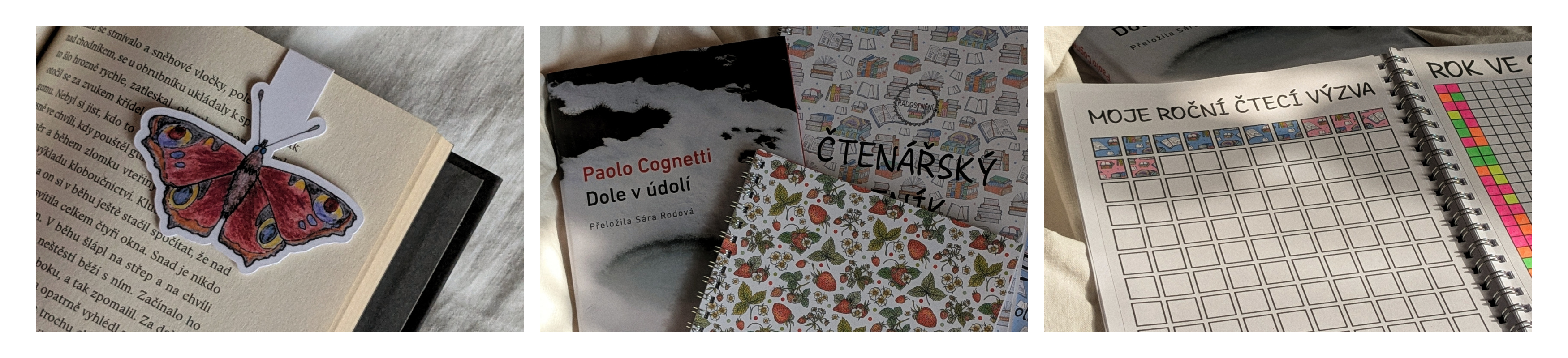 newsletter_cteni