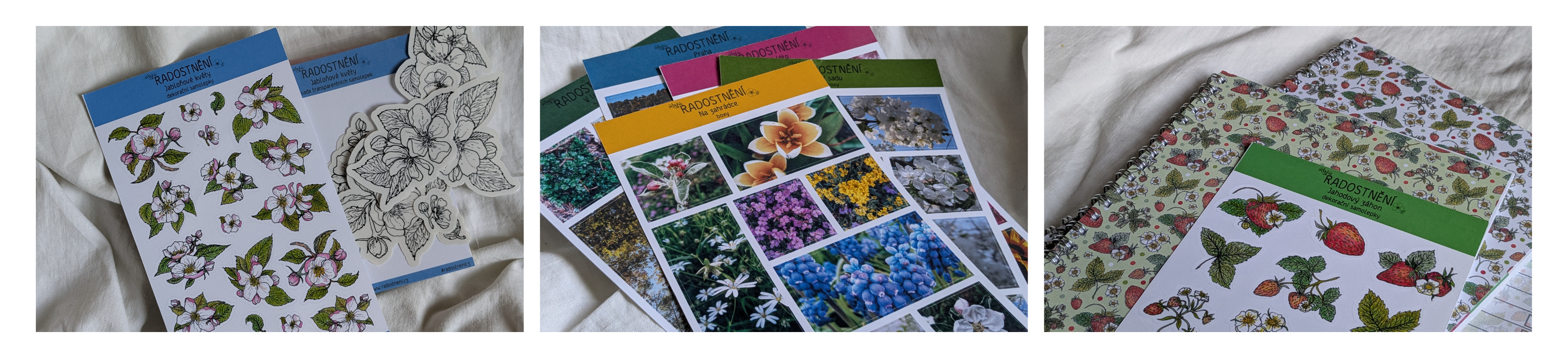 newsletter_novinky