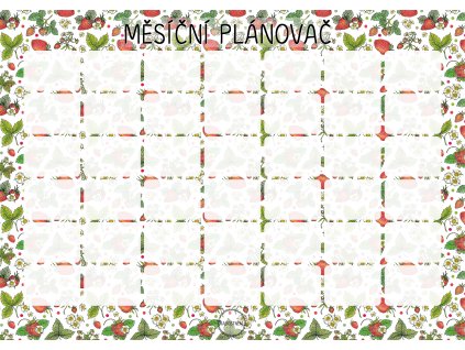 2025 Měsíční plánovač na šířku Jahodový záhon