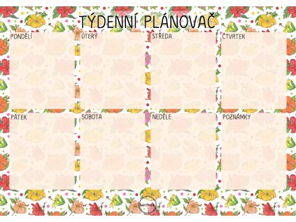 2025 Týdenní plánovač Květy ibišku