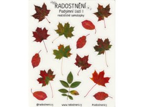 Realistické samolepky - Podzimní listí I  Barevný potisk, lesklá transparentní fólie