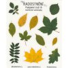 Realistické samolepky - Podzimní listí III  Barevný potisk, lesklá transparentní fólie