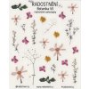 Realistické samolepky - Botanika VII