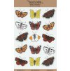 Samolepky • Motýlí království