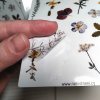 Realistické samolepky - Botanika I  Barevný potisk, lesklá transparentní fólie