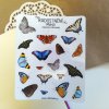 Realistické samolepky - Motýli I  Barevný potisk, lesklá transparentní fólie