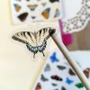 Realistické samolepky - Motýli II  Barevný potisk, lesklá transparentní fólie