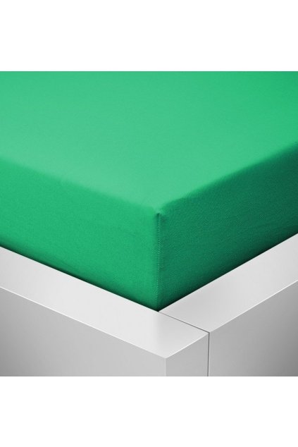 Jersey zelené prostěradlo David dvoulůžko 220x200 cm