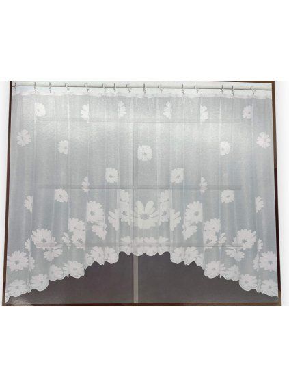 1691 1 bila zaclona oblouk 02