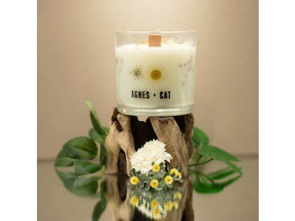 Sójová vosková svíčka Agnes + Cat Botanical - Windermere