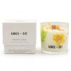 Sójová vosková svíčka Agnes + Cat Botanical - Rydal Oudh