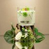 Sójová vosková svíčka Agnes + Cat Botanical - Fellberry