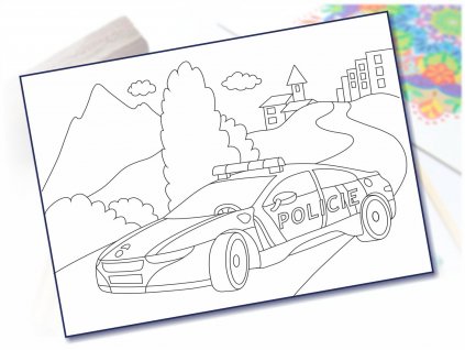 policie ve meste