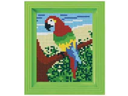 1891 obrazek s rameckem 20 barev papousek