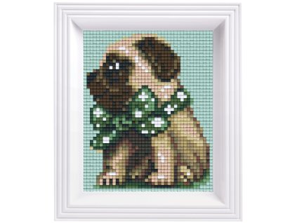 2383 obrazek s rameckem 22 barev mops chlapec