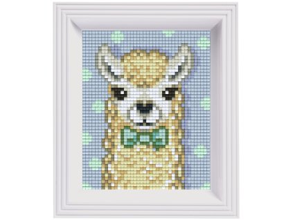 2365 obrazek s rameckem 23 barev lama chlapec