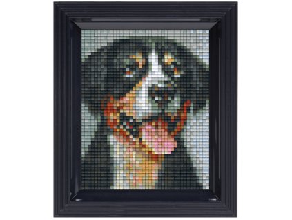 2392 obrazek s rameckem 27 barev horsky pes