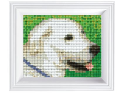 1960 obrazek s rameckem 27 barev pes