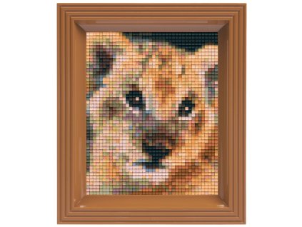 2020 obrazek s rameckem 30 barev mlade